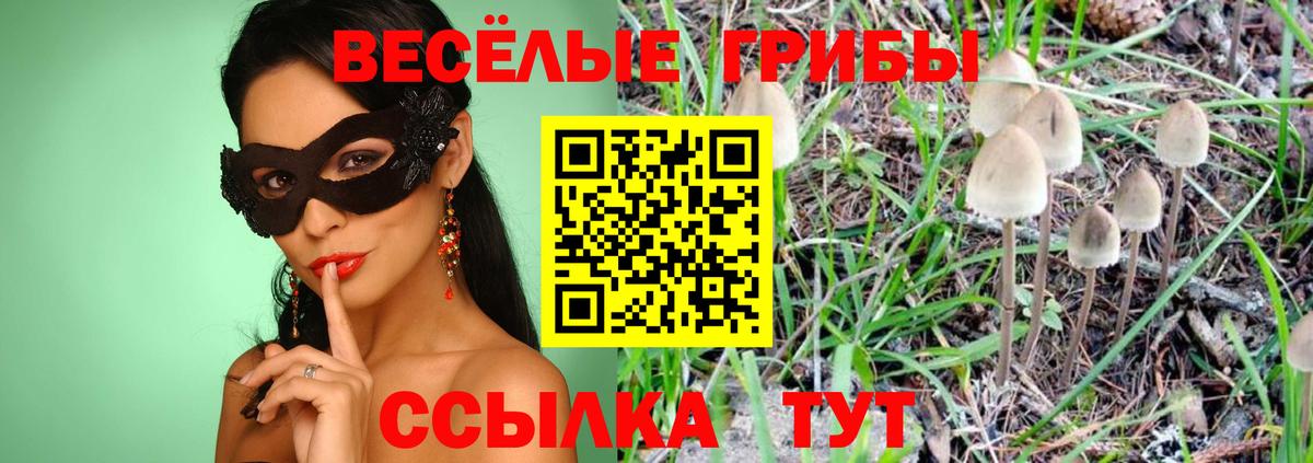 закладка  Вход с VPN  Канаш  Псилоцибиновые грибы MAGIC MUSHROOMS  Псилоцибиновые грибы мицелий 