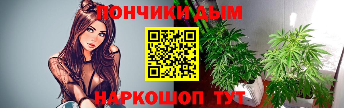 Бошки марихуана гибрид  Вход с VPN  Канаш  Каннабис марихуана 